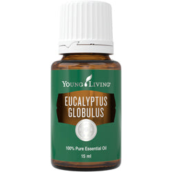 Eukalyptus Globulus Öl (Eucayptus Globulus) 15 ml
