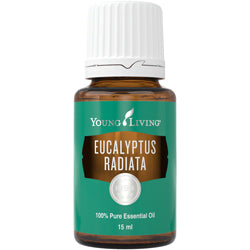 Eukalyptus Radiata Öl (Eucalyptus Radiata) 15 ml