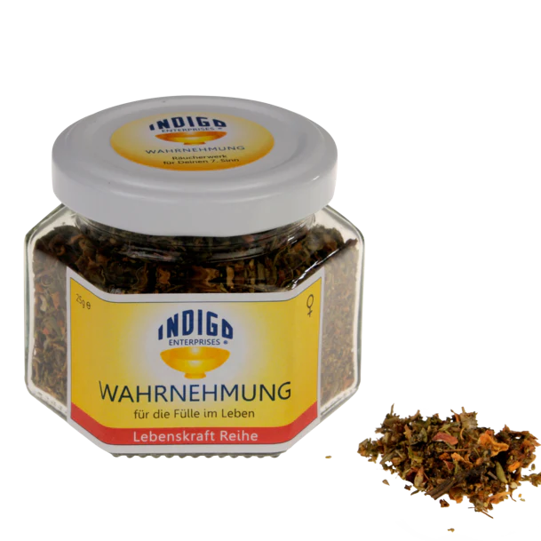 WAHRNEHMUNG - für die Fülle im Leben