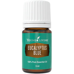 Blauer Eukalyptus Öl (Eucalyptus Blue) 5 ml