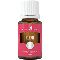 Elemi Öl (Elemi) 15 ml