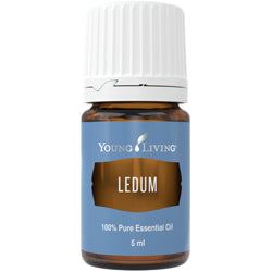 Ledumöl (Ledum) 5 ml