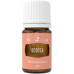 Ocotea 5 ml