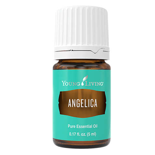 Engelwurzöl (Angelica) 5 ml