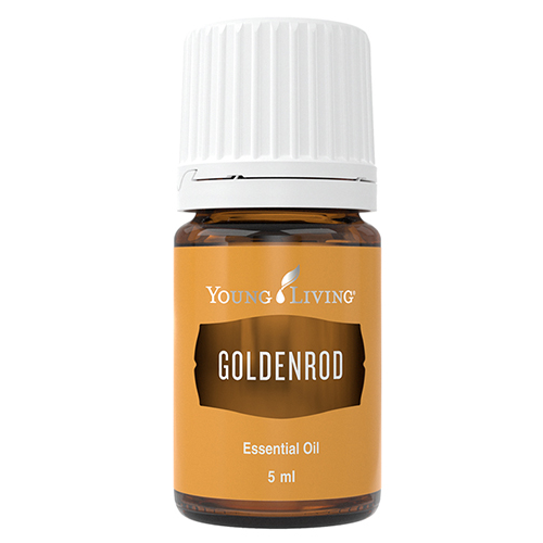 Goldrutenöl (Goldenrod) 5 ml