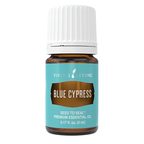 Blue Cypress 5 ml