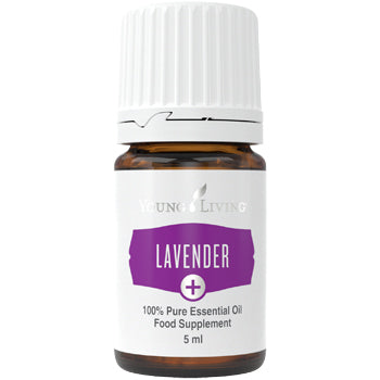 Lavendel Plus Öl 5ml